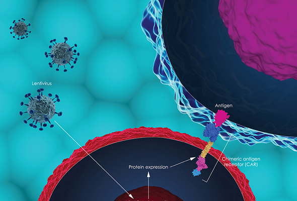 Premade Anti-CD19 CAR-T Lentivirus 이미지