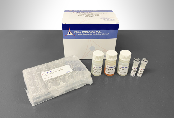 세포 수축 측정 | Cell Contraction Assay Kit 이미지