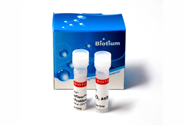 Flow Cytometry 분석용 ViaFluor® SE Cell Proliferation Kit 이미지