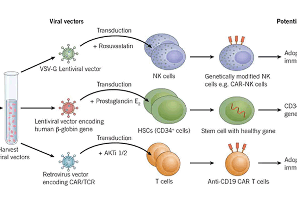 Viral Transduction Enhancer 이미지