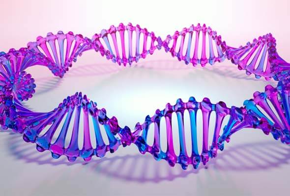 Epigenetic Targets Assay | InCELL Hunter eXpress Bromodomain Assay 이미지