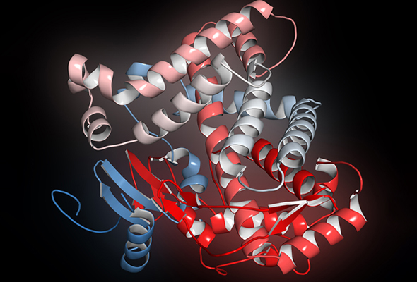 Cytochrome p450 Inhibitor & Substrate 이미지