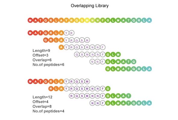 펩타이드 라이브러리(Peptide Library) 제작서비스 이미지