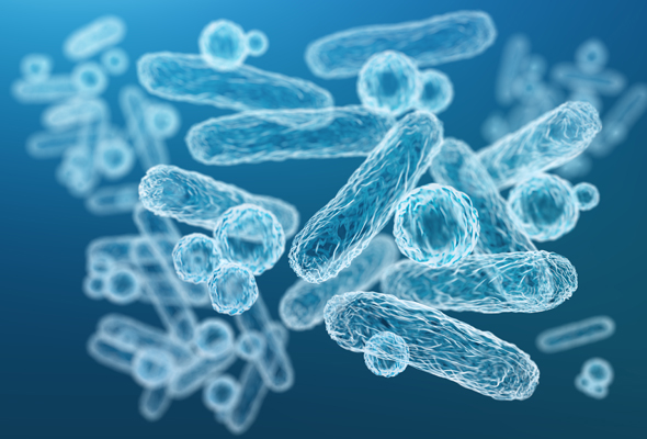 마이크로바이옴(Microbiome) 연구 제품 가이드 이미지