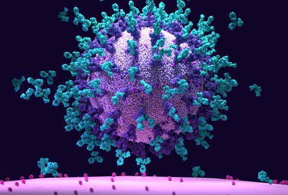 SARS-CoV-2 Pseudoviruses 이미지