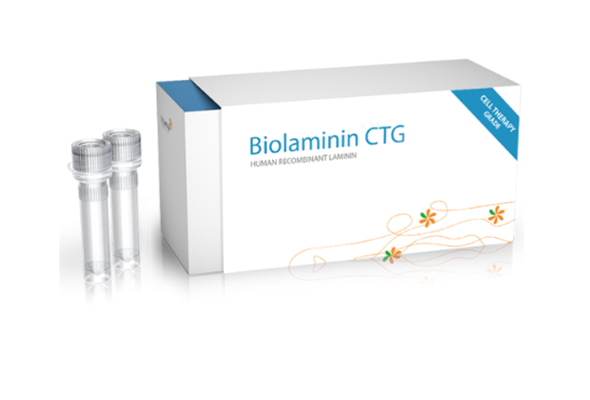 세포치료제 등급 Biolaminin 521 CTG (CT521) 이미지