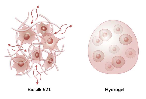 줄기세포와 오가노이드 3D 배양을 위한 Biosilk 이미지