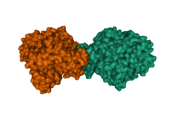 Protein Dimerizer 이미지