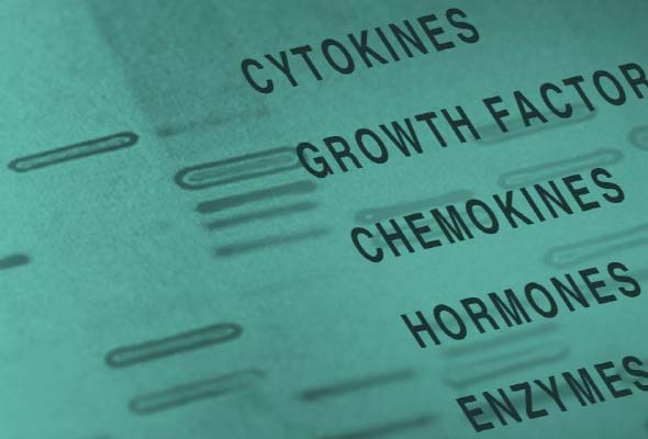 경제적인 Cytokine, Growth Factor, Chemokine Antibody & Protein 이미지