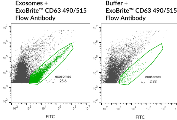 유세포분석용 엑소좀 마커 항체 | ExoBrite™ Flow Antibody 이미지