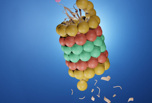 Ubiquitin E3 Ligase Inhibitors 이미지