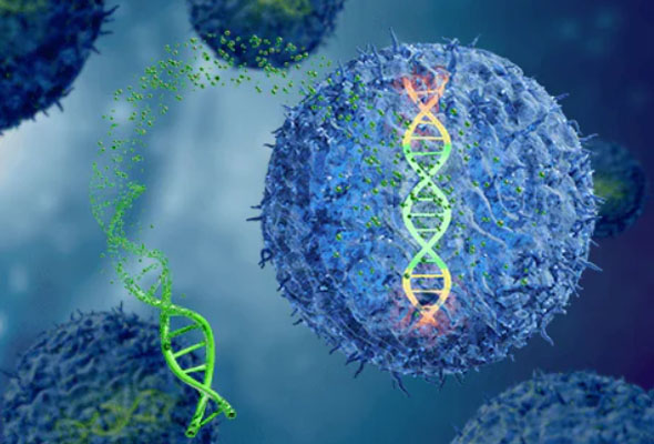 TcBuster™ Non-Viral Gene Engineering 서비스 이미지