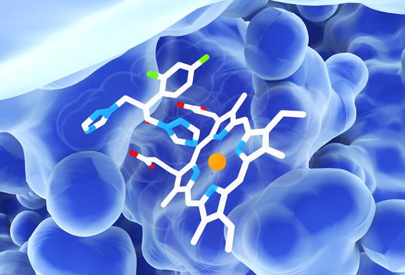 Enzyme Inhibitors 이미지