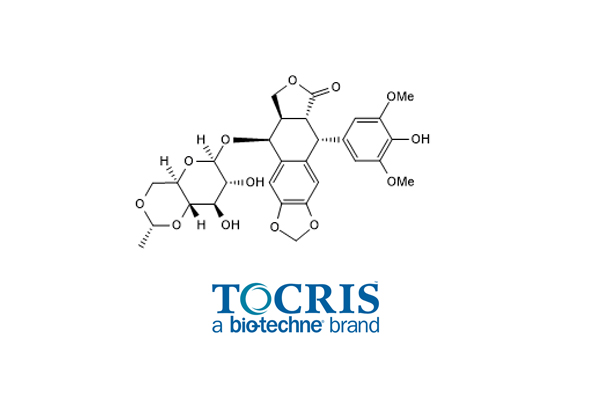 DNA Topoisomerase Inhibitors 이미지