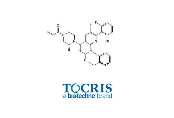 GTPases Inhibitors 이미지