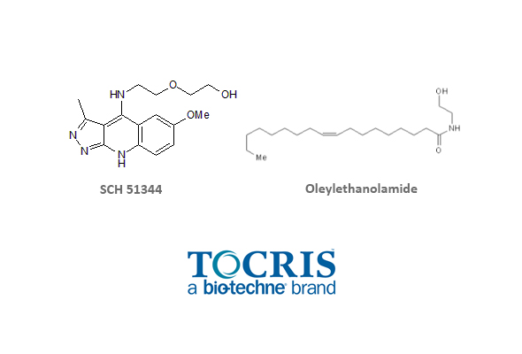 Hydrolases Inhibitor 이미지