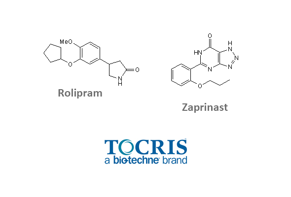 Phosphodiesterase Inhibitors 이미지