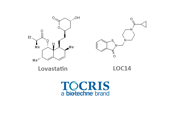 Reductases Inhibitors 이미지