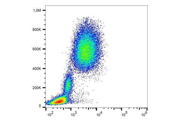 Flow Cytometry 분석을 위한 CD Marker Antibody 이미지