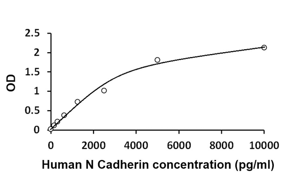 Cell Adhesion Molecule ELISA Kit 이미지