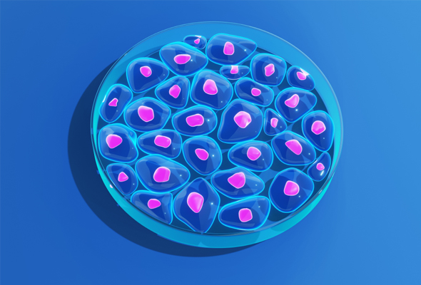 Cell & Cell Culture 제품 바로가기 이미지