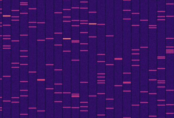 Electrophoresis Product 바로가기 이미지