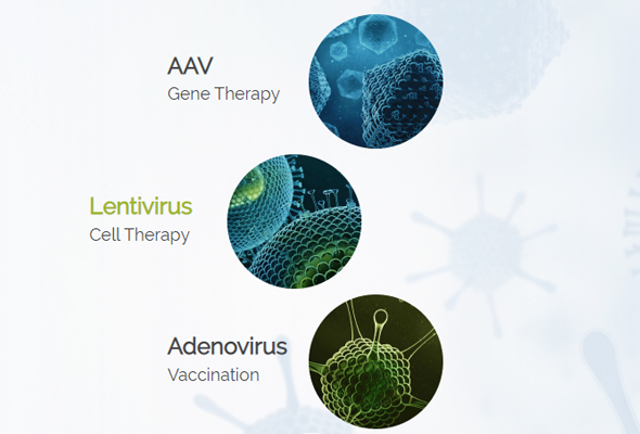 바이러스 제작서비스 | AAV, AV, LV | Virus Production Service 이미지