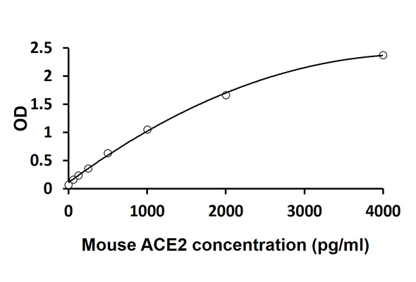 ACE/ACE1/ACE2 ELISA Kit 이미지