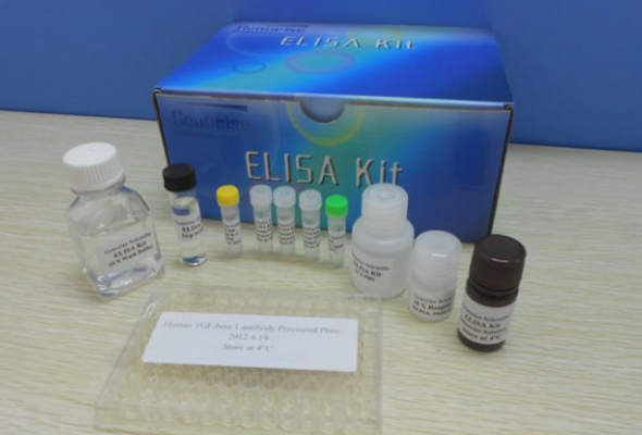 Angiogenesis Marker ELISA Kit 이미지