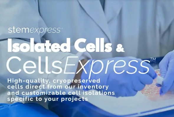 CellsExpress 대용량 면역세포 이미지