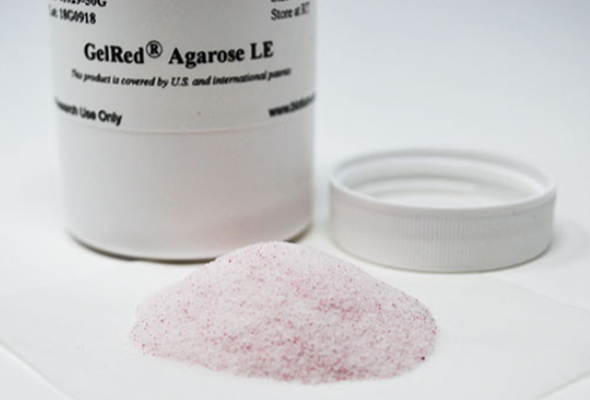 GelRed Agarose | GelGreen Agarose 이미지