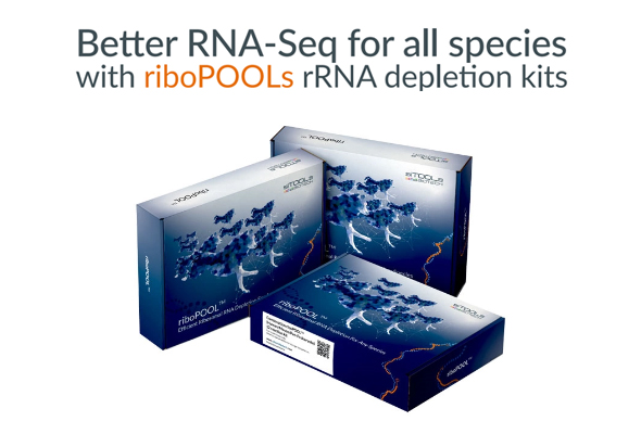 rRNA 제거시약 | riboPOOL rRNA depletion kits 이미지