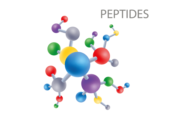 Peptide | 펩타이드 이미지