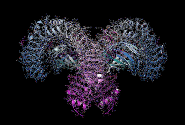 면역계 연구 | Toll-like Receptors inhibitors 이미지