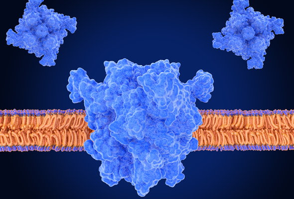 TRP Channel Inhibitor 이미지