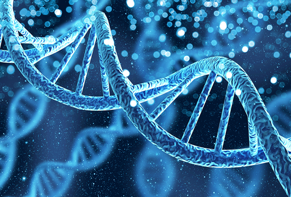 GMO Reference Materials & Control DNA 이미지