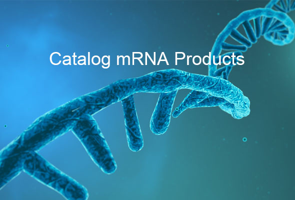 mRNA Products 이미지