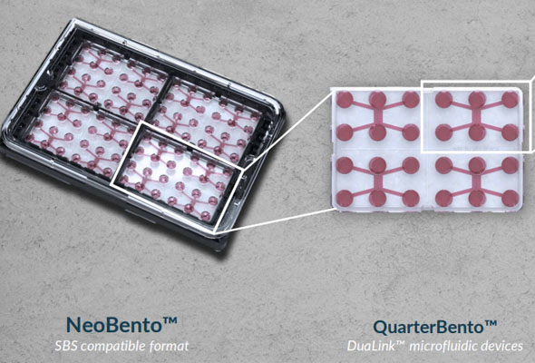 [NETRI] Organs-on-chip (OoC) 연구를 위한 microfluidic device 이미지