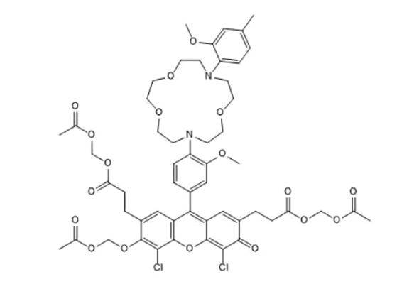 세포의 이온변화 측정 | TOCRIS Fluorescent Ion Indicator 이미지