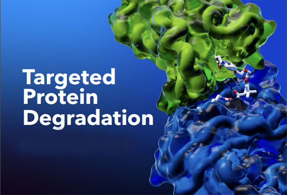 표적단백질 분해기술 | PROTAC® Degraders & Linkers 이미지