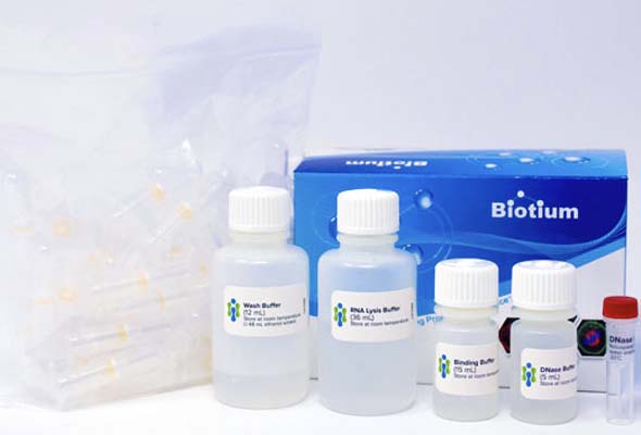 Fresh Cell and Tissue RNA Isolation Kit | RNA 분리 이미지