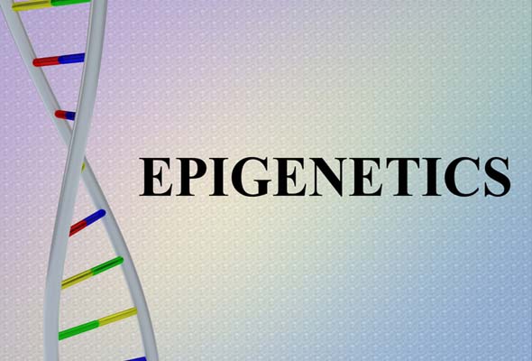 Epigenetic 분석 서비스 | Epigenetic Assay Service 이미지