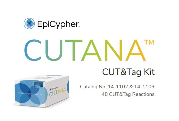 CUTANA™ CUT&Tag Kit | Histone PTM 매핑 이미지