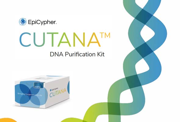 CUTANA™ DNA Purification Kit 이미지