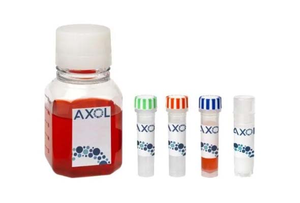 AXOL iPSC Trial Kit 이미지