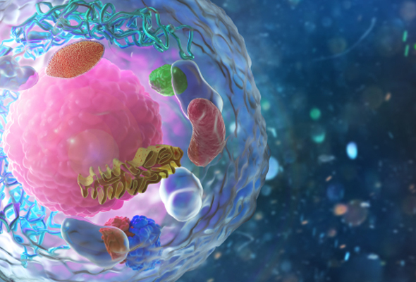 한눈에 보는 Cell 선택가이드 이미지