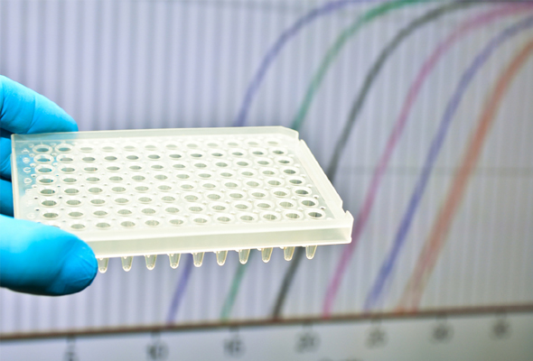 qPCR, RT-qPCR Primer/Probe 제작서비스 이미지