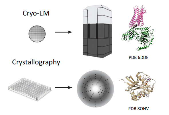 단백질 구조 분석서비스 | Cryo-EM | Crystallography 이미지