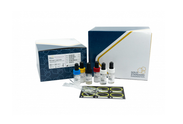 식중독균 라텍스 응집 시험 | Latex agglutination kit 이미지