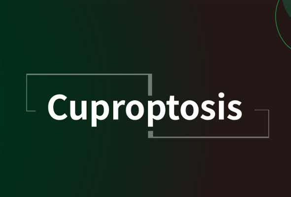 Cuproptosis Antibody Panel 이미지